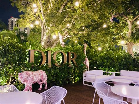 dior cafè miami photos prices|dior's rooftop cafe Miami.